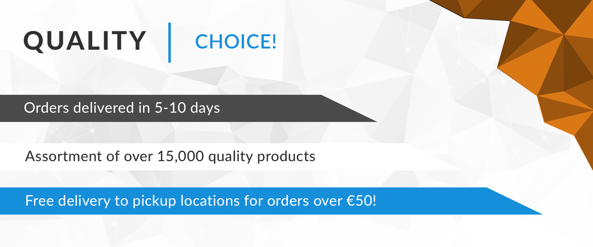 Fast and free delivery, online electronics and video games!