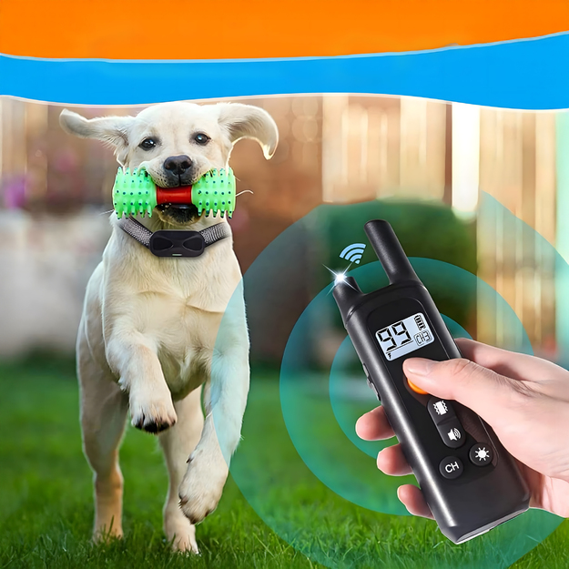 Elektriline koerakoolituskaelarihm Veekindel vaigistamine