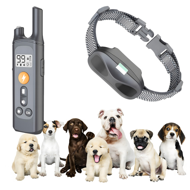 Elektriline koerakoolituskaelarihm Veekindel vaigistamine