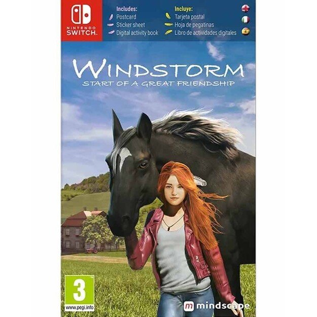 Windstorm: Start of a Great Friendship (Code in Box)
      
        - Nintendo Switch