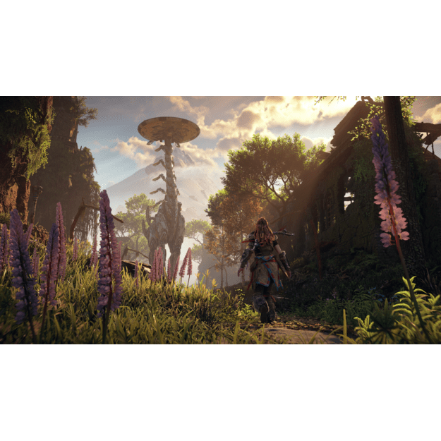 Horizon Zero Dawn Remastered 2