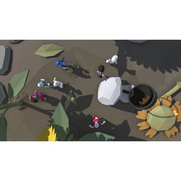 Human: Fall Flat Dream Collection

  - PlayStation 4