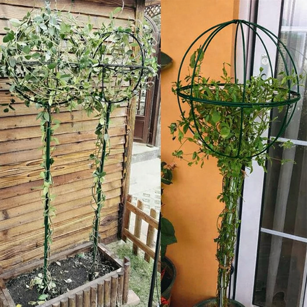 Dārza pergola, terase, metāla balsts vīteņaugiem, rožu ziediem, 50x10 cm, zaļš