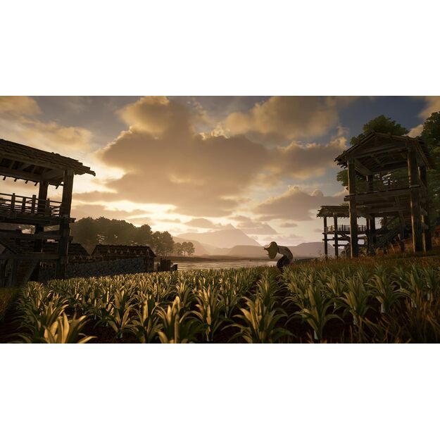 Sengoku Dynasty Ultimate Edition - PlayStation 5