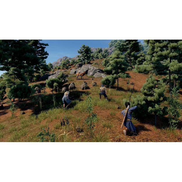 Sengoku Dynasty Ultimate Edition - PlayStation 5