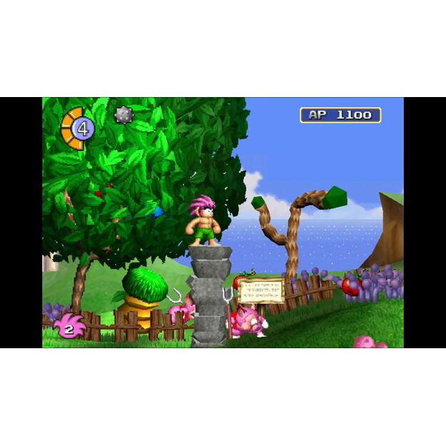Tomba Special - Nintendo Switch