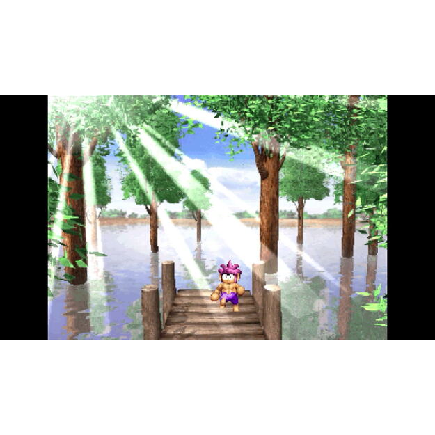 Tomba Special - Nintendo Switch