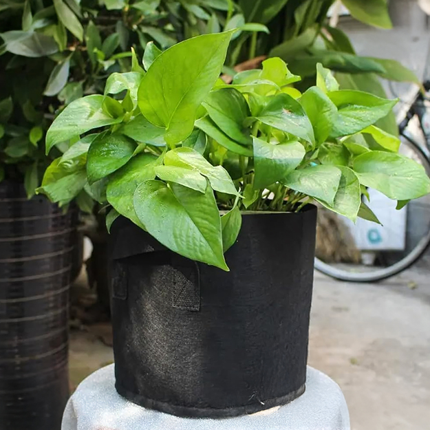 Pintas gėlių vazonų maišas daržovėms ir gėlėms sodinti, 11,5 l