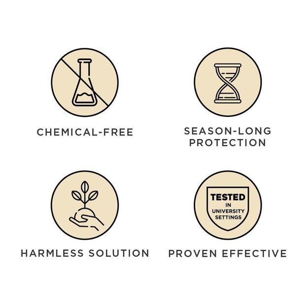 Tickless - Active - Green