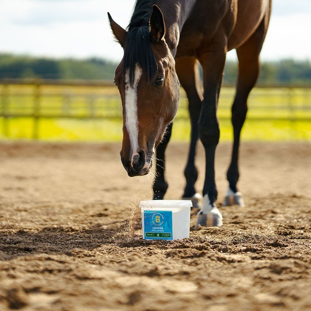 Biofarmab - Psyllium seed - 2500g