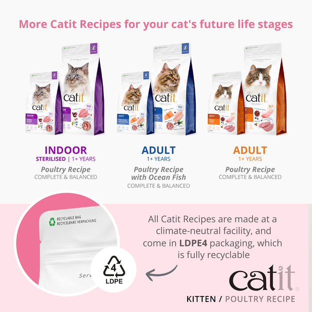 Catit - Premium Dry Food for Kittens - Chicken - 2 kg
