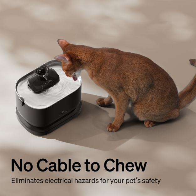 Petlibro - Dockstream Battery-Operated Water Fountain - Black - 2.5-Liter Capacity