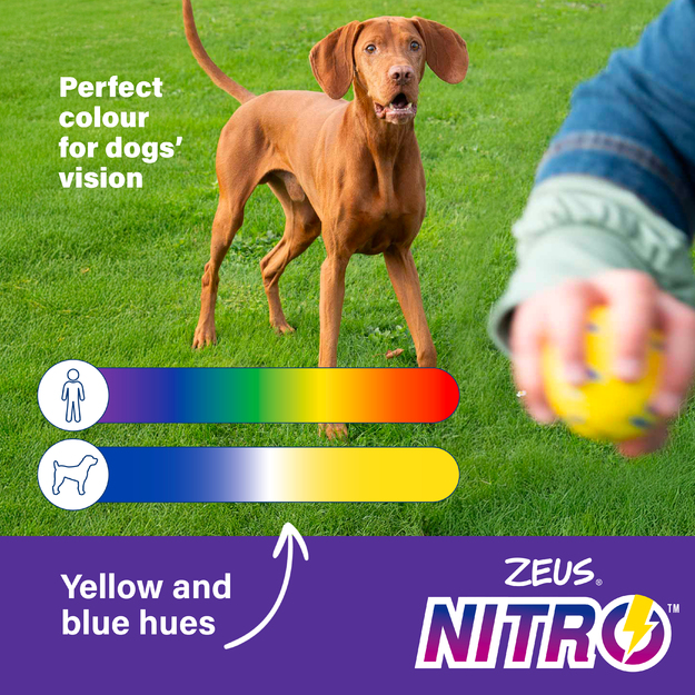 Zeus Nitro - Weighted Ball - Yellow and Blue - Large, Ø7.6cm
