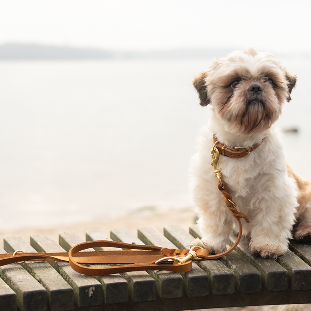 WalkFit - Tracking Leash - Cognac - S