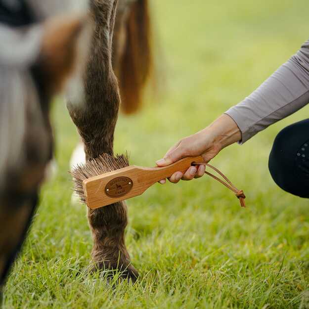 BORSTIQ - Icelandic Horse Bassine