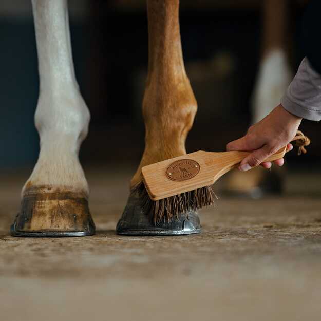 BORSTIQ - Icelandic Horse Bassine