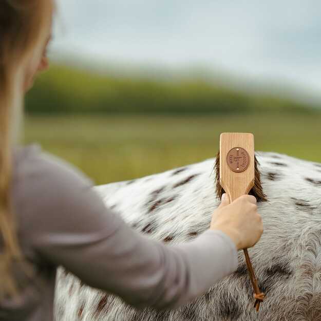 BORSTIQ - Icelandic Horse Bassine