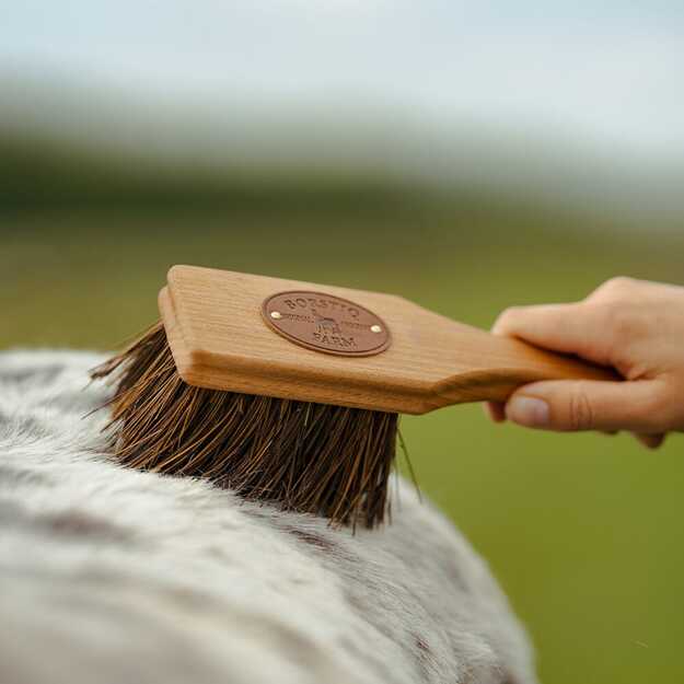 BORSTIQ - Icelandic Horse Bassine