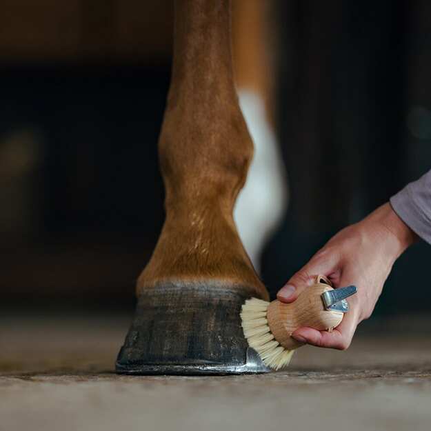 BORSTIQ - Hoof brush with pick