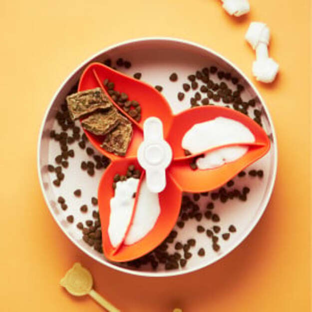 SPIN - Starter kit - Interactive Feeder Bourgainvillea - Orange - Easy