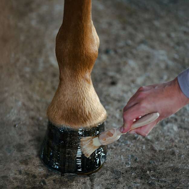 BORSTIQ - Hoof brush