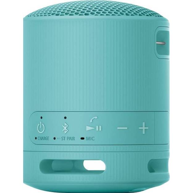 Sony - SRS-XB100 portable Bluetooth speaker