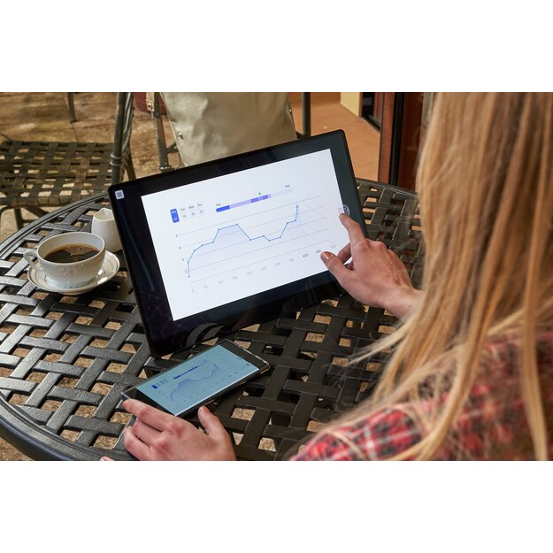 RICOH - Portable Monitor 150 OLED 15,6'' (Wired)