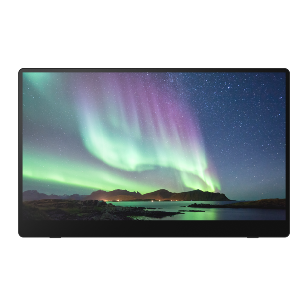 RICOH - Portable Monitor 150 OLED 15,6'' (Wired)