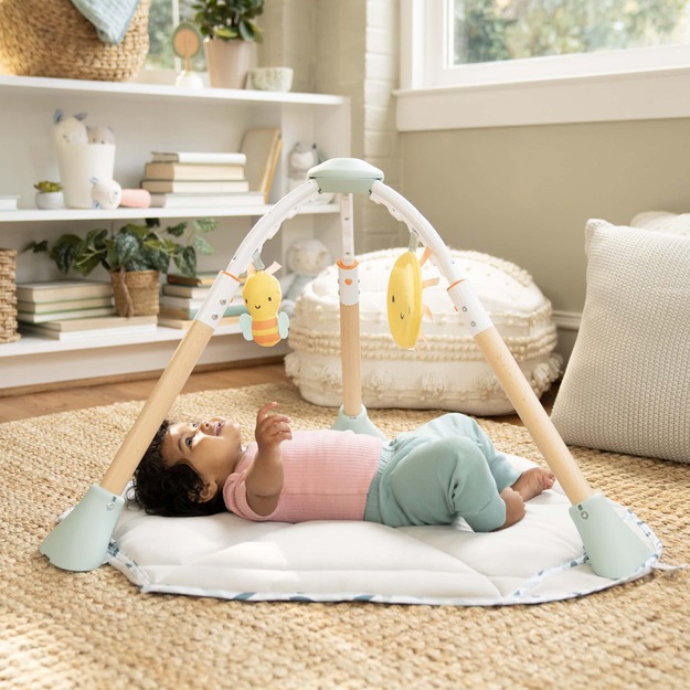 Ingenuity - Tummy to Toes™ 6-in-1 Milestones Center - (IN-16904)