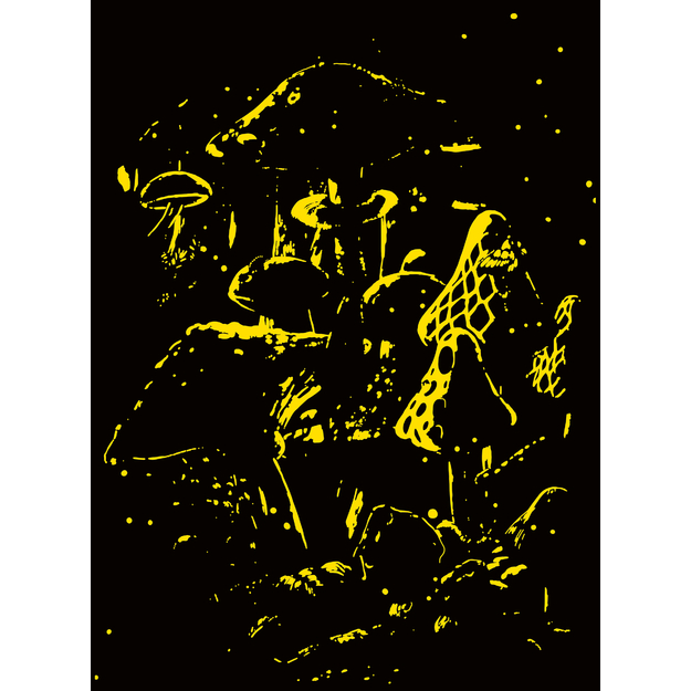 Ravensburger - Moonlight Mushrooms 500p glow (12001386)