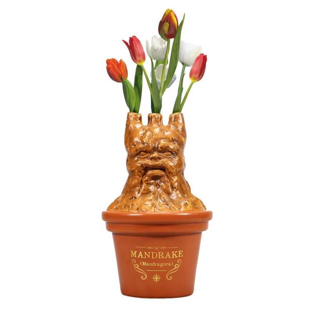 Harry Potter - Mandrake Shaped Vase (5261TTVHP07)