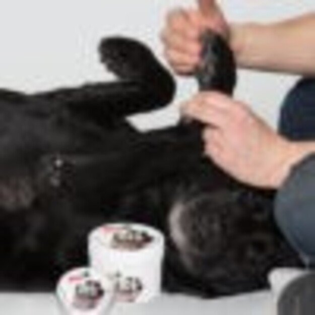 Pawz - Max Wax 200 g - (278201)