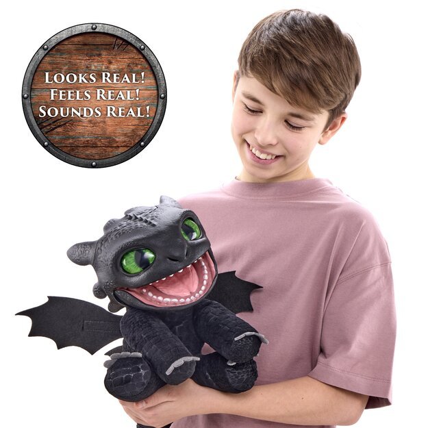 How To Train Your Dragon - Toothless  (100101HD) 3