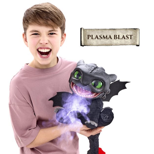 How To Train Your Dragon - Toothless  (100101HD) 4