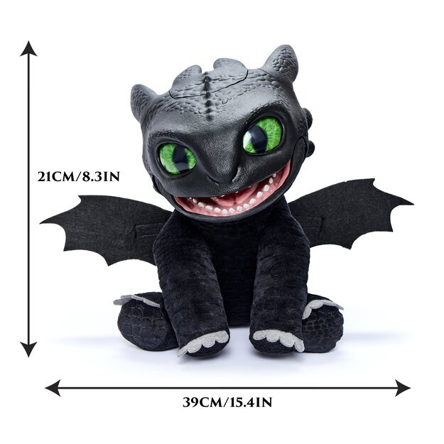 How To Train Your Dragon - Toothless  (100101HD) 9