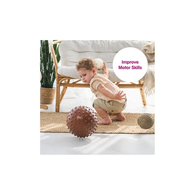 Edushape - Sensory Ball - 18 Cm - Brown - Without air (E705176Dbr) 1