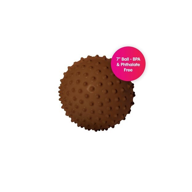 Edushape - Sensory Ball - 18 Cm - Brown - Without air (E705176Dbr) 5