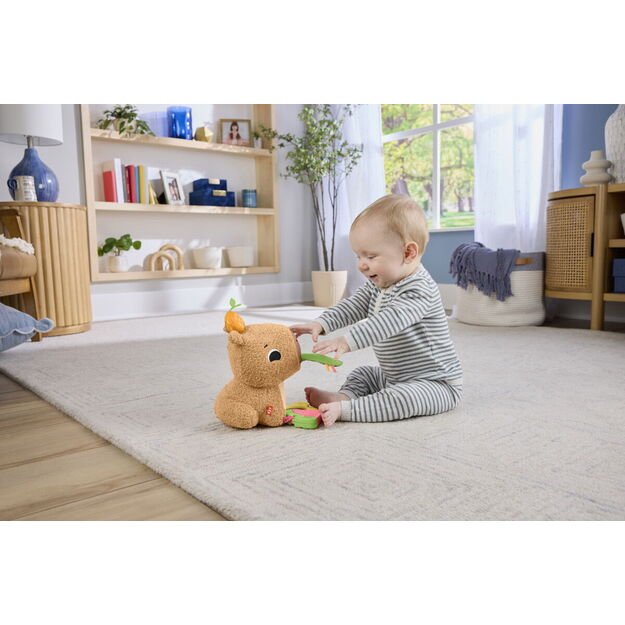 Fisher-Price - Snuggly Snacky Capy (HYR54) 3