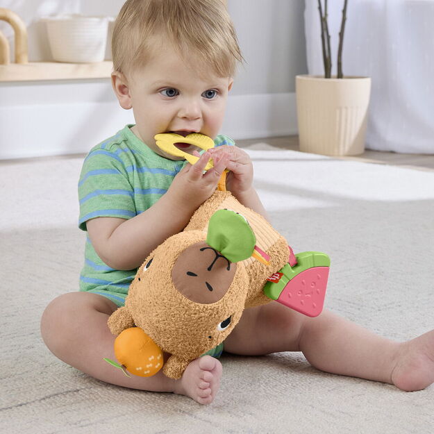 Fisher-Price - Snuggly Snacky Capy (HYR54) 8