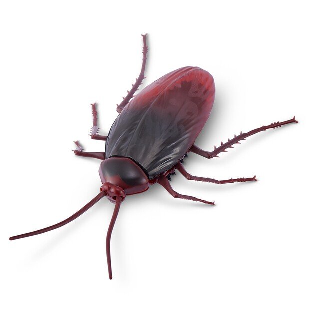 Robo Alive - Robotic - S2 Cockroach, Bulk (7152)
