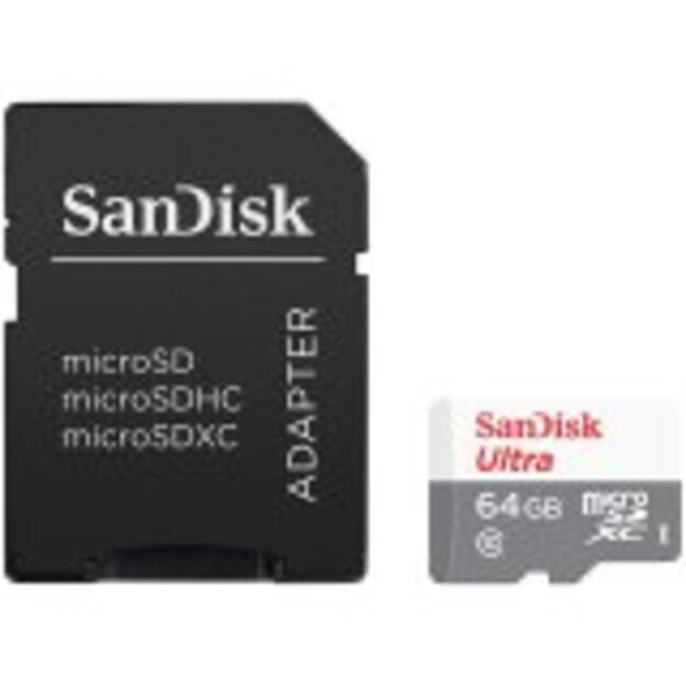 Memory Flash cards SANDISK SDSQUNR-064G-GN3MA