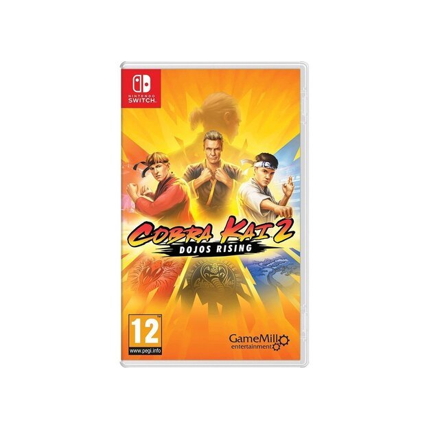 Cobra Kai 2: Dojos Rising

  - Nintendo Switch