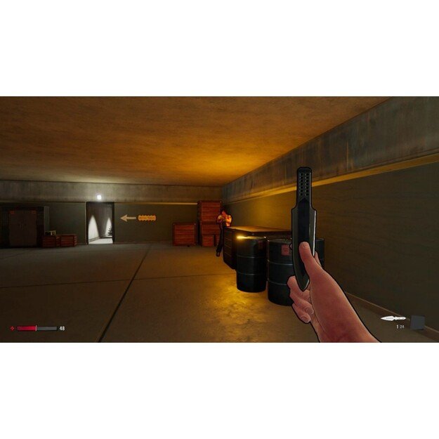 XIII Remake

  - PlayStation 5