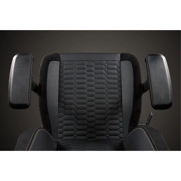 Apollon Classic / Gold Top Black seat + Gold logo