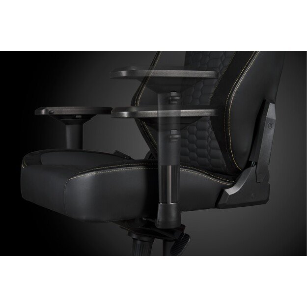 Apollon Classic / Gold Top Black seat + Gold logo