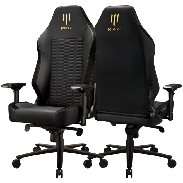 Apollon Classic / Gold Top Black seat + Gold logo
