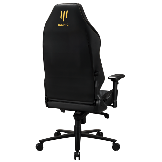 Apollon Classic / Gold Top Black seat + Gold logo