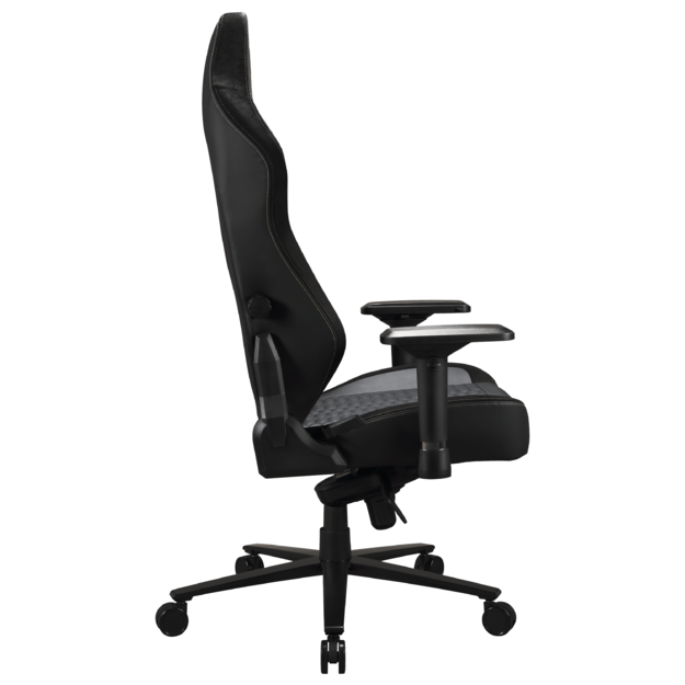Apollon Classic / Gold Top Black seat + Gold logo