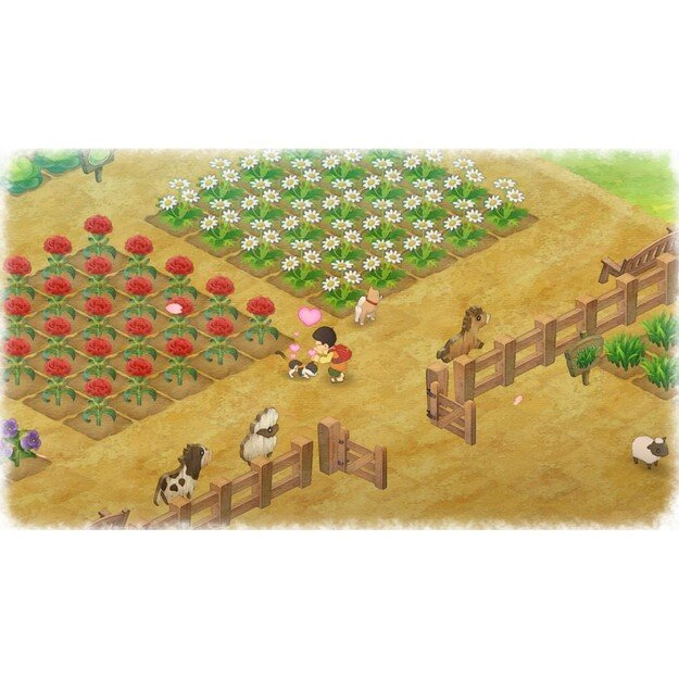 Doraemon: Story of Seasons
      
        - Nintendo Switch