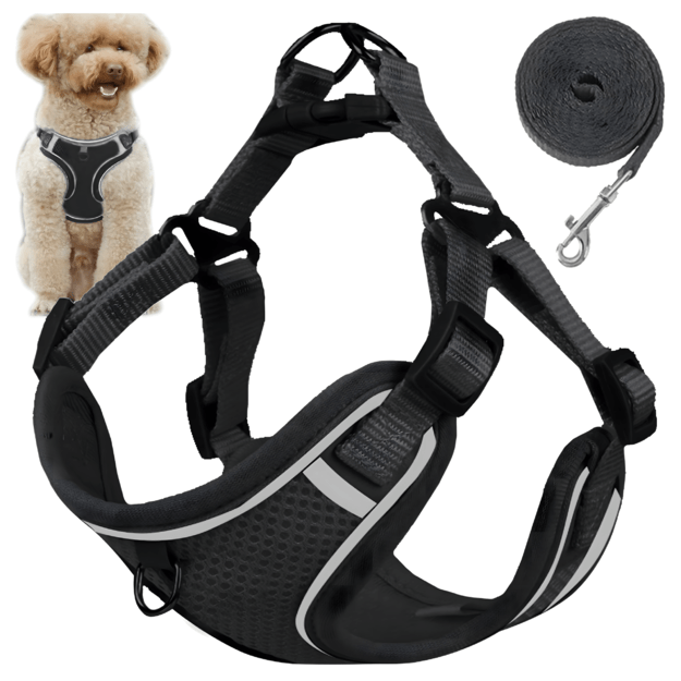 Strong, Pressure-Free Harness Leash for Small Dogs and Cats, Durable, Size M